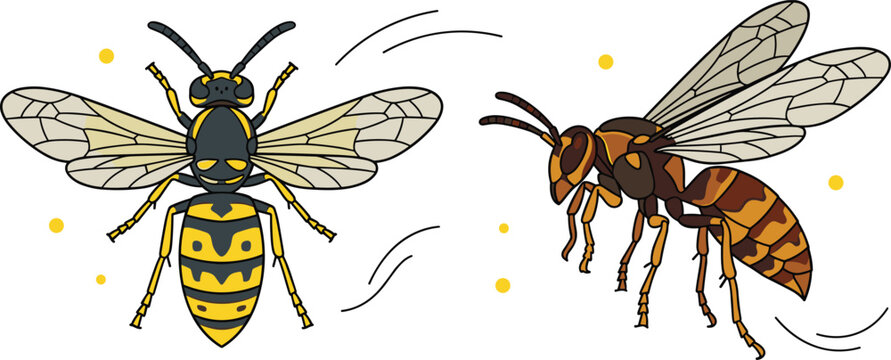 Wasp and Hornet Vector Illustration Set Featuring Top and Side Views of Flying Yellowjacket Insects for Nature, Pest Control, and Educational Designs