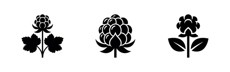 Cloudberry plant and fruit icons set. Wild berries with leaves, symbolizing an arctic or Nordic delicacy. © Lili