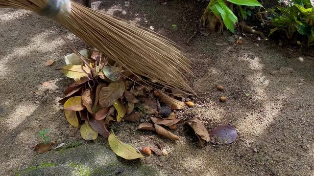  sweeping the yard full of fallen leaves