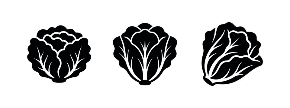 Lettuce and cabbage vegetable icon set, fresh healthy food symbols.