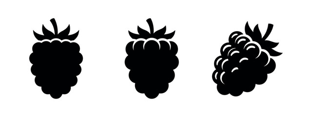 Set of blackberry fruit icons, delicious berries in various styles, black and white vector illustration. © Lili