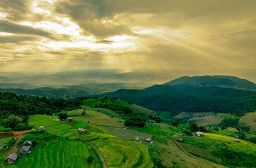 Obraz premium Serene Panorama of Rolling Green Hills Under Soft Golden Light with Dramatic Cloud Cover in a Tranquil Rural Landscape