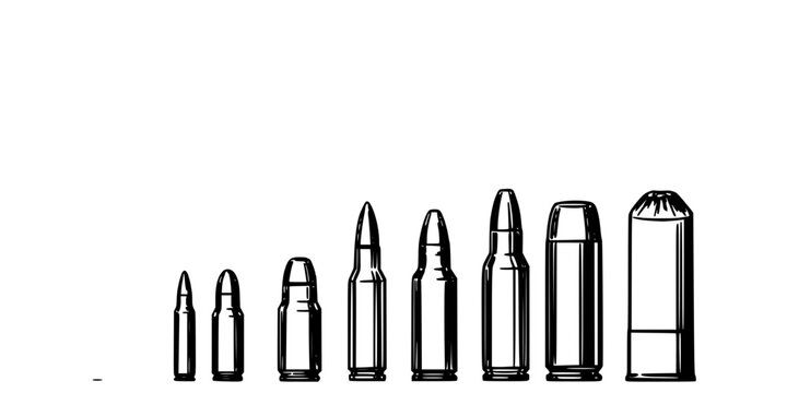 Bullets and Shell Casings Arranged in a Row, Showcasing Different Sizes and Types Featuring Bullet, Casing, Ammunition