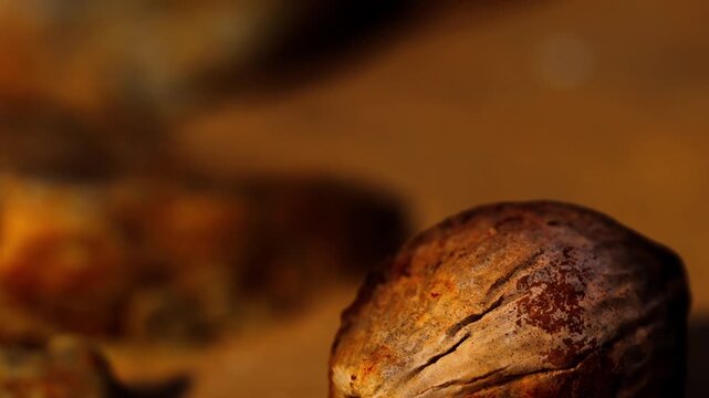 A nut lies on a sandy surface with blurred textures in the background. The focus is on the nuts shell showing rich colors and patterns. Various natural elements surround it.