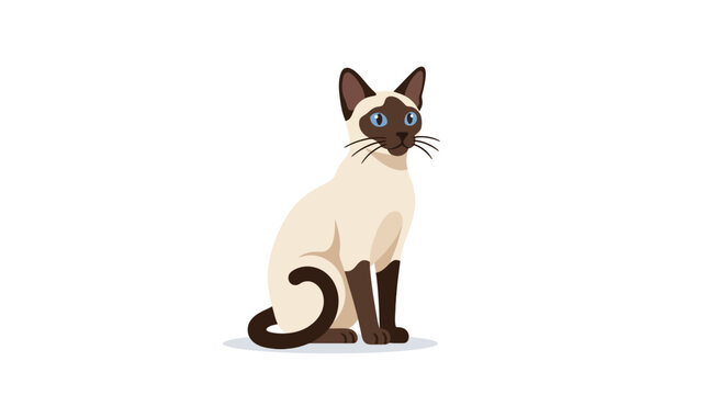 A beautiful Siamese cat sitting down in a clean flat vector illustration style.