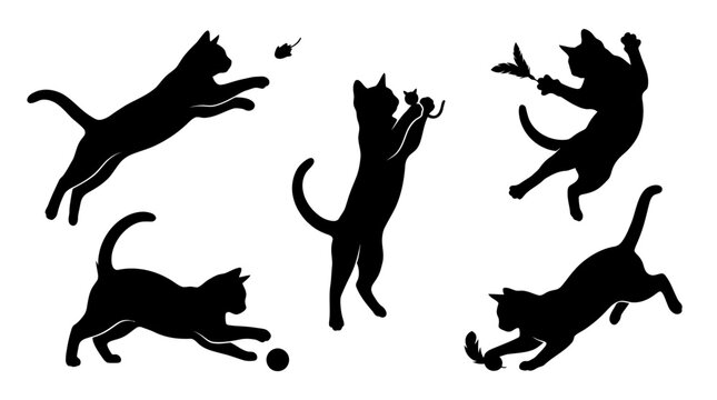 A collection of black silhouettes showing cats playing and jumping in various poses.