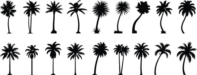 Palm tree silhouette collection diverse tropical tree shapes for island and beach themed designs © Hey world