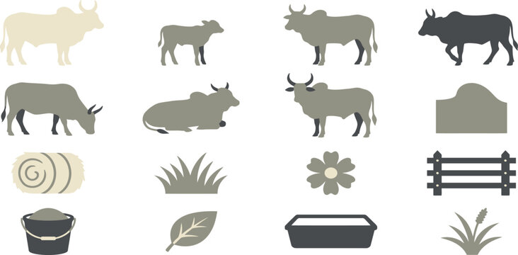 Set of zebu cattle icons including various poses, farm fences, hay bales, and agriculture elements in vector