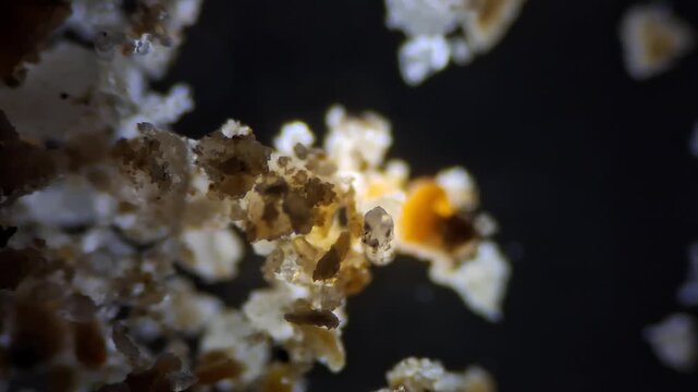 Microscopic view of sand grains, macro texture of mineral crystals under microscope