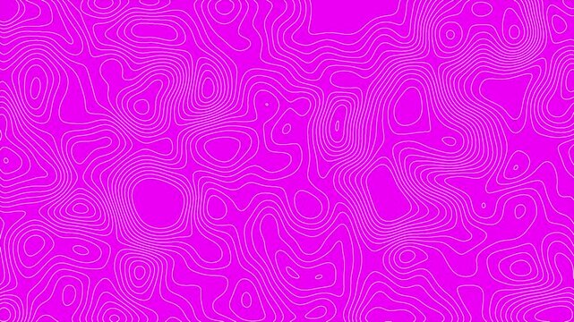 Abstract Pink Topographic Map Line Pattern Background