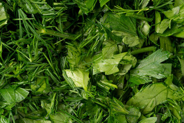 Fototapeta premium Fresh chopped herbs textured background