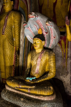 Ancient Golden Buddha Statue Protected by Naga in Sacred Sri Lankan Cave Temple