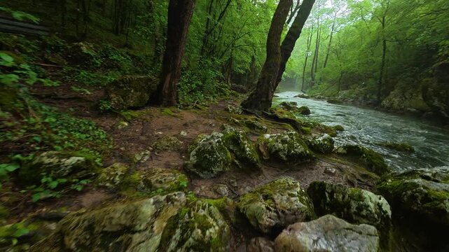Mossy log frames the rushing river's wild flow. Sokobanja, Serbia.