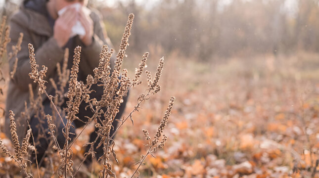 Man with seasonal allergy sneezing outdoors, experiencing rhinitis symptoms from nature pollen in autumn