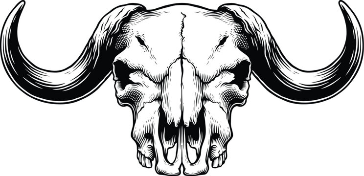Vintage buffalo skull illustration detailed engraving style artwork
