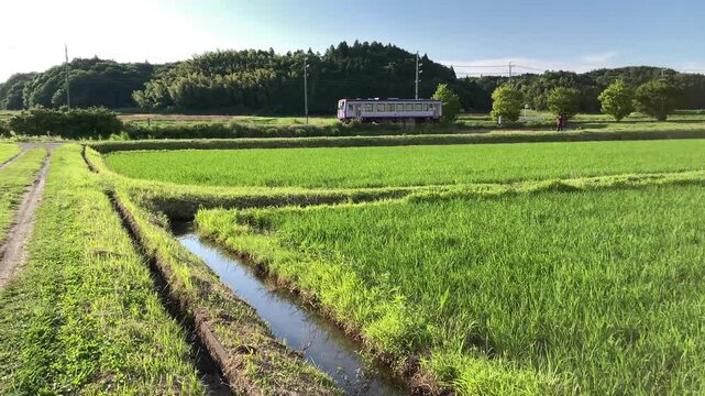 JR Kansai Line &ndash; Short Clip of Single Car Train Passing Through Countryside in 4K 60fps