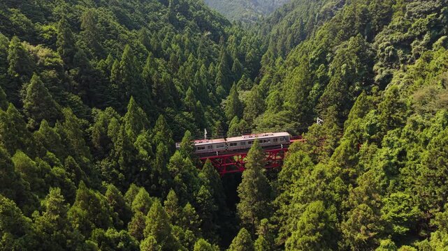 Nankai 2000 Series Train Crossing Nakakosawa Trestle Bridge on the Way to Koyasan, Kudoyama, Wakayama, Japan　「高野山に向かう列車と中古沢橋梁」和歌山県九度山町
