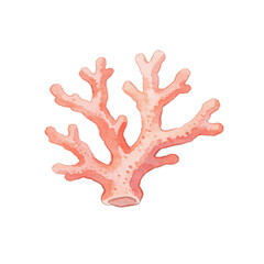 Obraz premium Coral Branch: A delicate watercolor illustration of a single coral branch in a soft coral hue, showcasing its intricate structure and natural beauty.