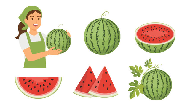 Watermelons and farmer with vector illustration style on a white background watermelon citrullus lanatus melon