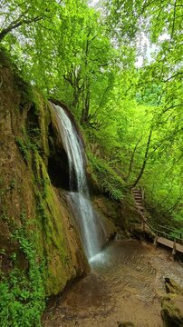 Green cascade flows down mossy rock face. Sokobanja, Serbia. Vertical