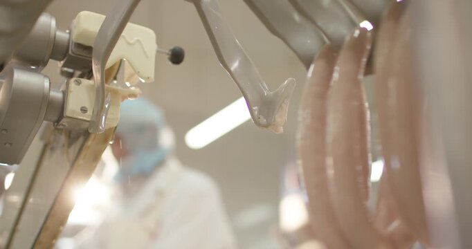 Pale sausages hang on hooks in production room