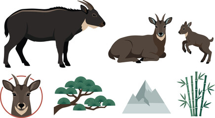 Obraz premium Japanese Serow Collection with Adult Serow Kid Mountain Wildlife Bamboo Forest and Alpine Nature Vector Illustration Set
