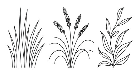 草と小麦と葉の茂る植物を描いた手描きボタニカルセット © MrJasim