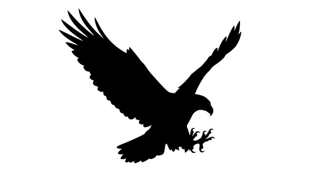 Black silhouette of a majestic eagle flying with wings spread wide isolated on white background.