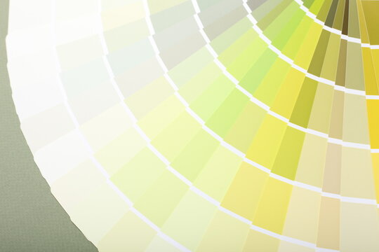 color palette guide