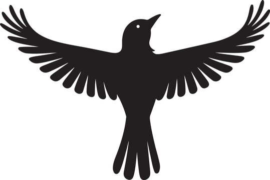 Baltimore Oriole silhouette collection vector bird wildlife design.