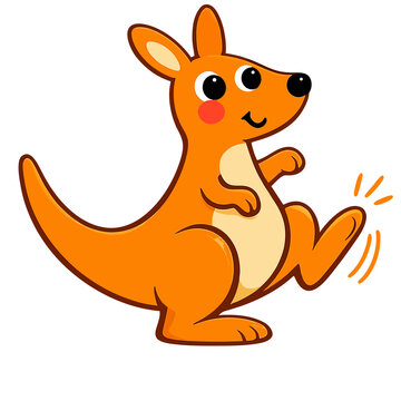 kangaroo 