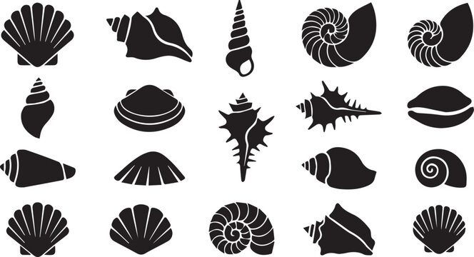 Sea Shell Icons Set - Ocean Seashell, Conch, Scallop, Nautilus, Starfish Vector Silhouette Collection .
