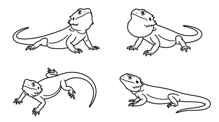Obraz premium Bearded dragon lizard line art set
