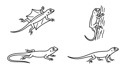 Obraz premium Diverse lizard and gecko line art sketches.