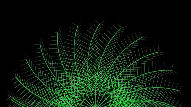 Abstract Parametric Green Palm Frond Design on Black Background