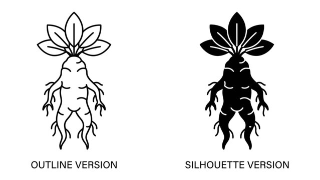 Mandrake Root Silhouette and Outline: Two artistic representations of a mandrake root, one in a clean outline and the other as a bold silhouette, showcasing its iconic human-like form and leafy crown.