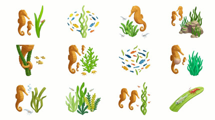 Colorful illustration of seahorses and underwater seaweed in flat style. © Dani