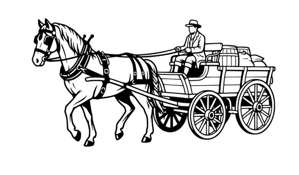 horse drawn carriage