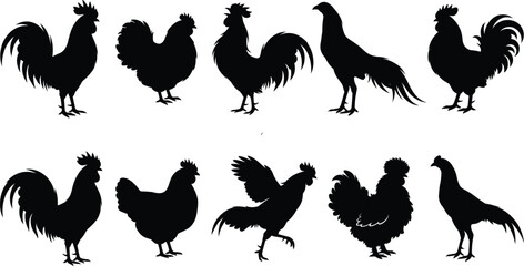 Rooster and Chicken Silhouette Collection Set with Farm Poultry Vector Illustration Designs ©  Reza Artify Lab