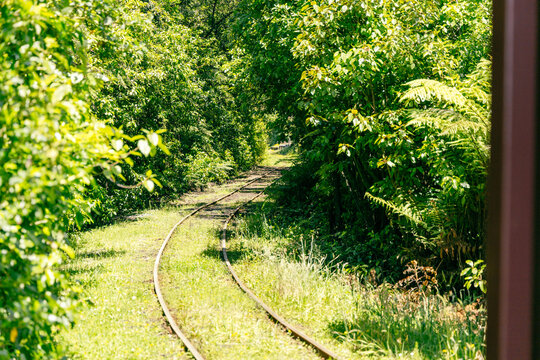 Curving Railway Tracks Through Lush Green Forest