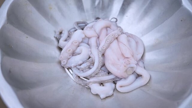 SEA FISH (FOOD)