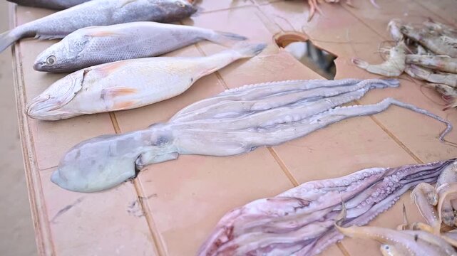 SEA FISH (FOOD)