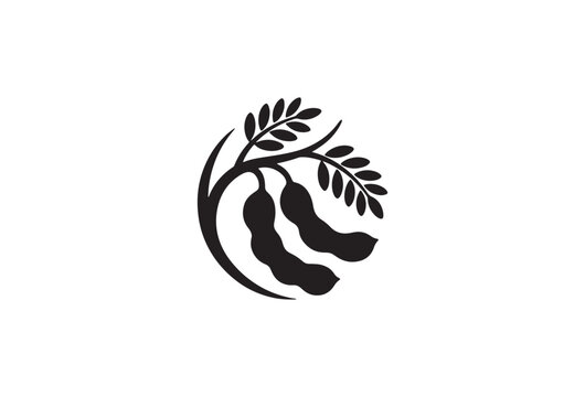 Minimalist tamarind fruit branch vector icon, black silhouette of tropical tamarind pods with leaves, organic food logo element