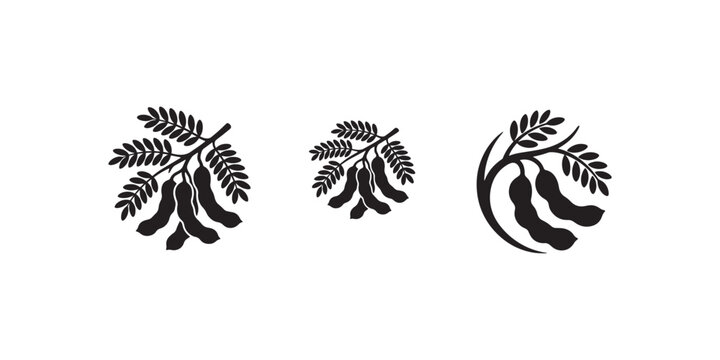 Minimalist tamarind fruit vector icons, black silhouette tamarind pods with leaves, organic tropical fruit branch illustrations for food packaging
