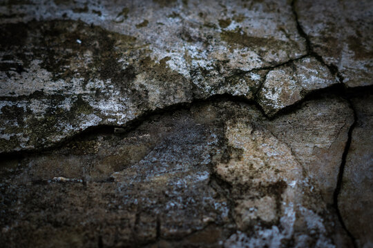 Closeup view of ancient weathered stone wall showing natural erosion and moss growth patterns