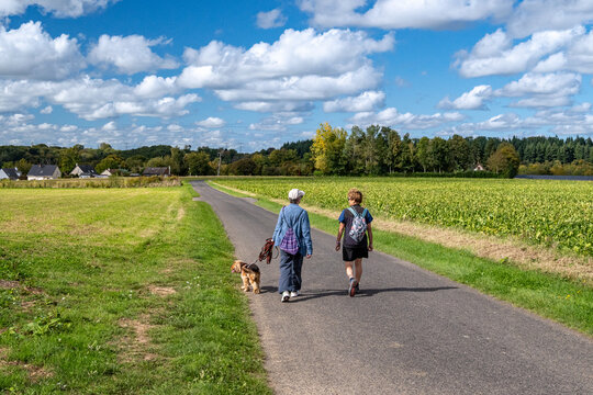 Randonneuses marchant sur une route de campagne par beau temps avec un chien