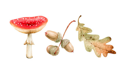 A collection of autumn forest elements ,red fly agaric, brown acorns, and oak leaves. Hand-painted watercolor illustration for a seasonal greeting card or project. © Lana