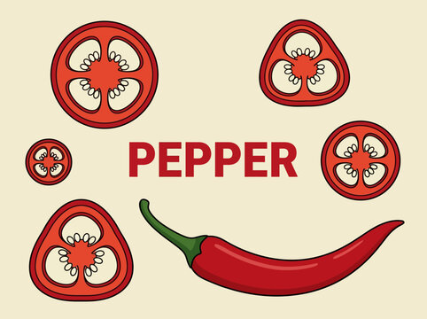 Minimalist Vector Illustration of Red Chili Pepper and Cross-Section Slices