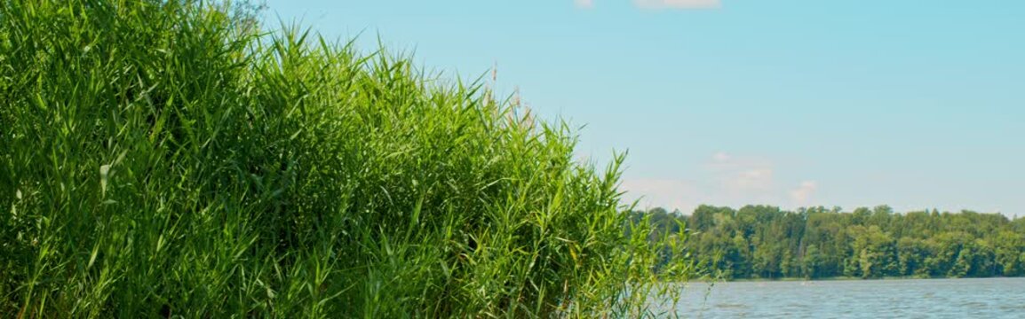 Cinematic anamorphic widescreen shot of the scenic Abtsee lake shore in Laufen, Bavaria.