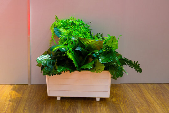 Green plant inside flowerpot on parquet floor in corridor interior